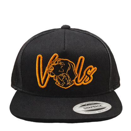 3D Puff VOLS Snapback Embroidery Hat