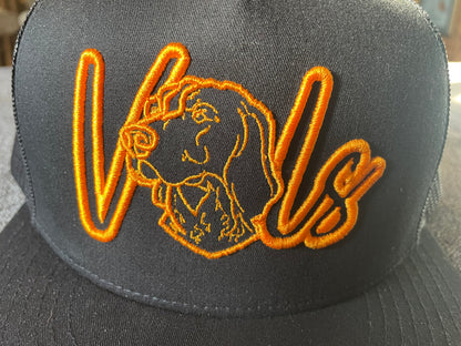 3D Puff VOLS Snapback Embroidery Hat