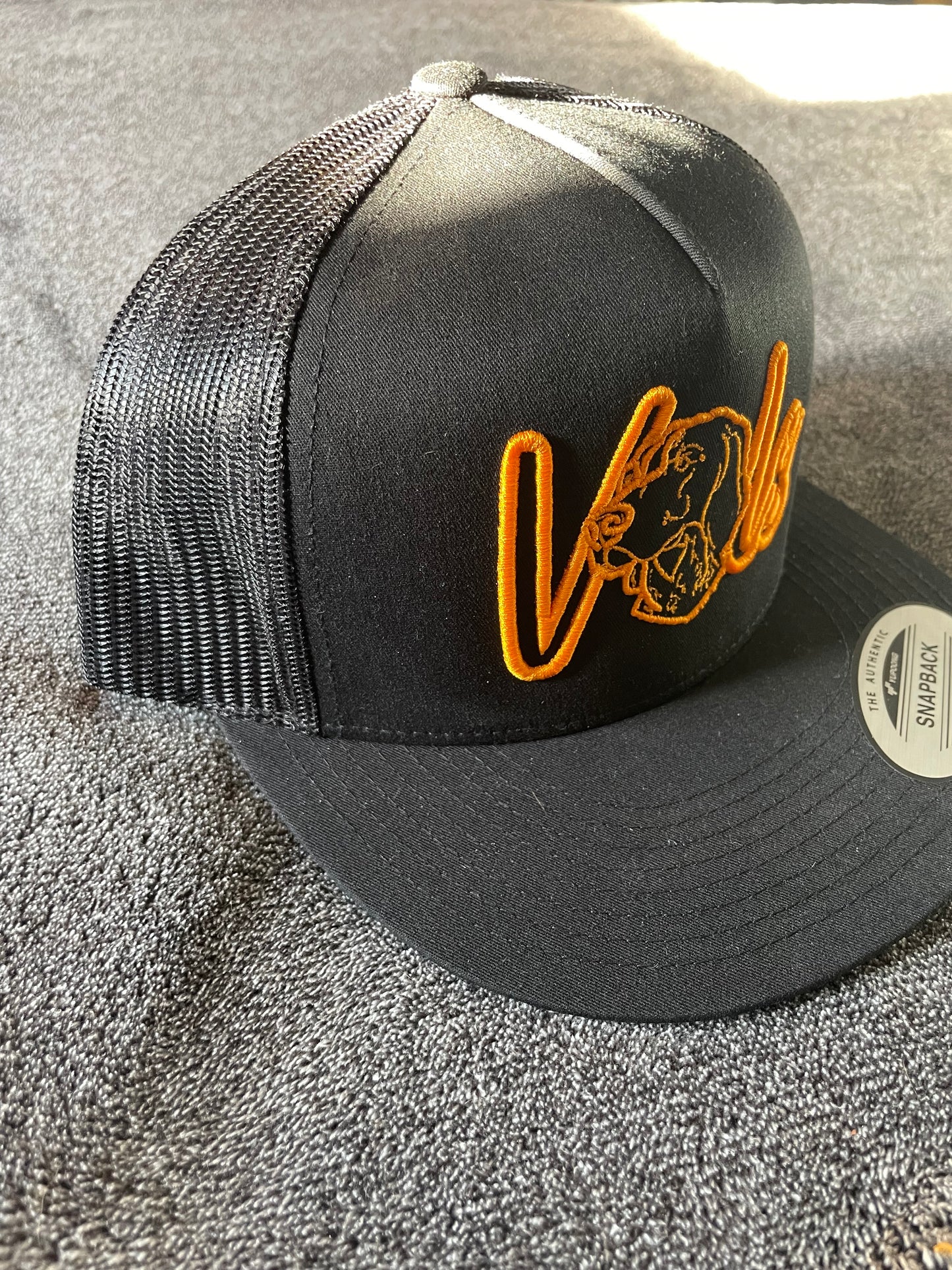 3D PUFF VOLS SnapBack embroidery hat