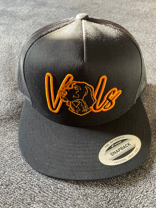 3D PUFF VOLS SnapBack embroidery hat