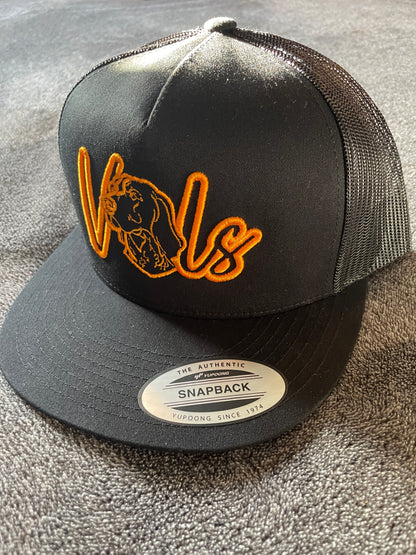 3D Puff VOLS Snapback Embroidery Hat