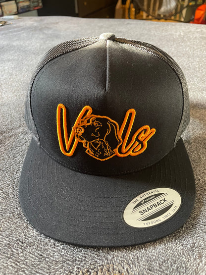 3D Puff VOLS Snapback Embroidery Hat