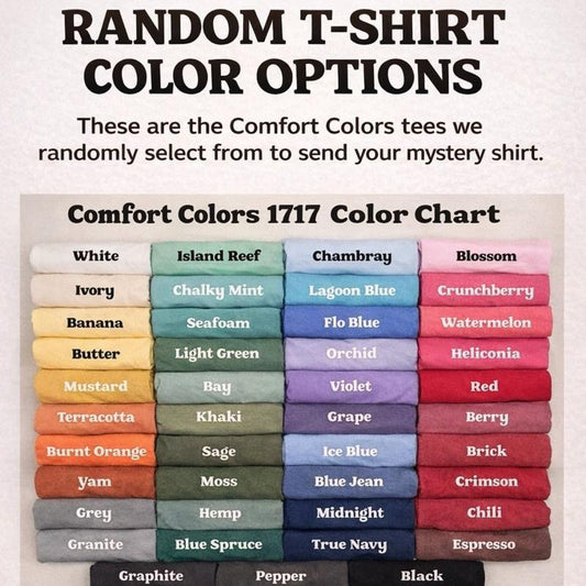 MYSTERY COMFORT COLOR T SHIRT
