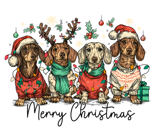 Christmas dachshund